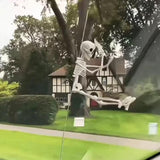 Car Skull Interior Decoration