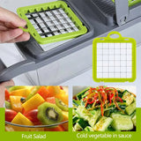 Food Grade Fruit & Veg Shredder